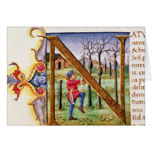 Initiale 'N de Historiated