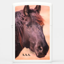 INITIALISATION PERSONNALISÉE DE Zippo White Matte 