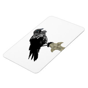 Inken Raven Magnet