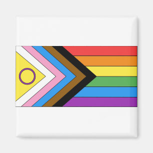 Inklusives Pride-Flag Magnet