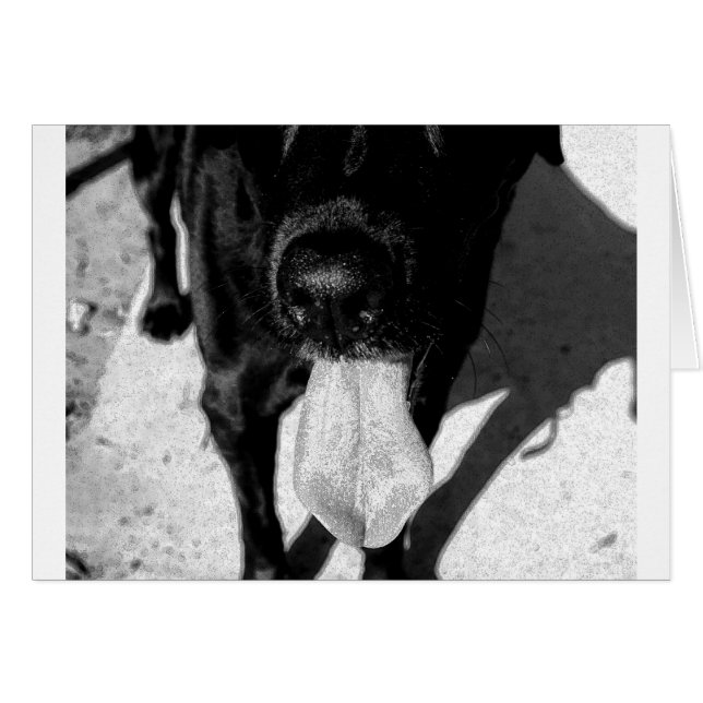 Inky Lulu (Vorderseite (Horizontal))