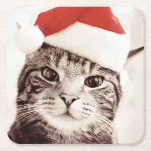 Inländische Tabbykatze, die roten Weihnachtshut Rechteckiger Pappuntersetzer