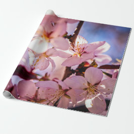 Innen ein Sakura Tree Geschenkpapier