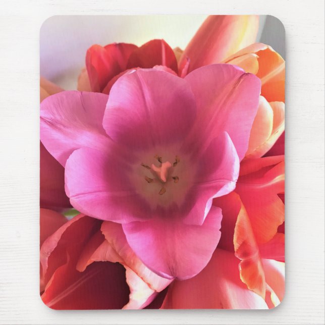 Innen einer rosa Tulip Mousepad (Vorne)