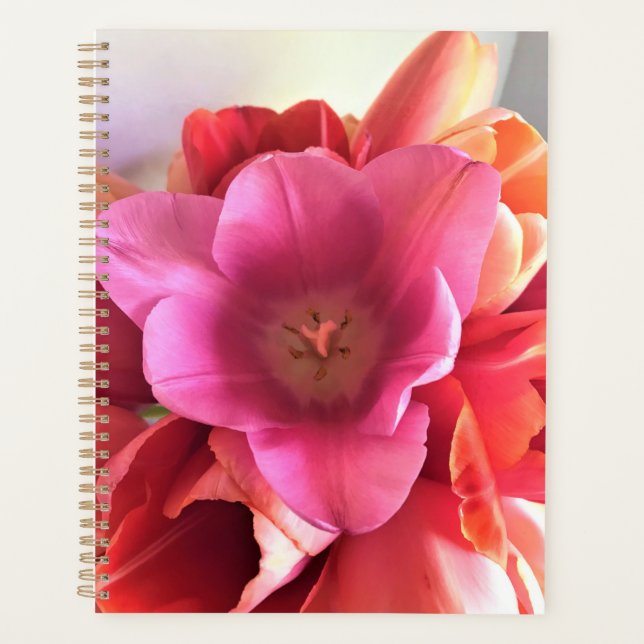 Innen einer rosa Tulip Planer (Vorderseite)
