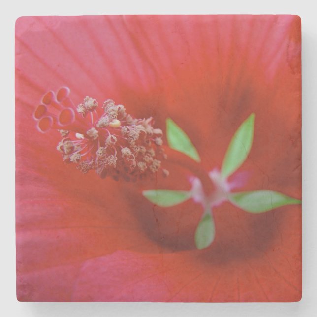 Innen eines roten Hibiskus - Makrofotografie Steinuntersetzer (Vorderseite)
