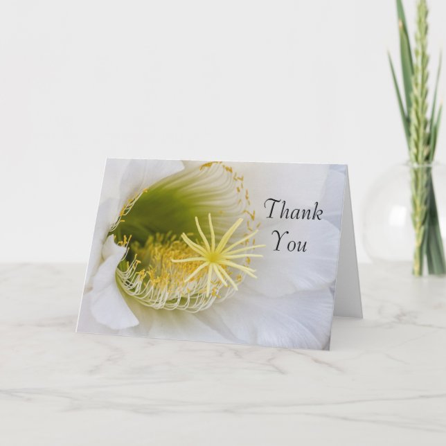 Innen eines weißen Kaktus in Blüte Dankeskarte (Vorderseite)