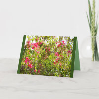 Innen kümmerte die rosa Blumenmotive