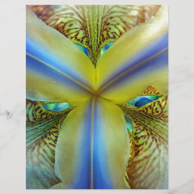 Innen von Iris (Vorderseite)