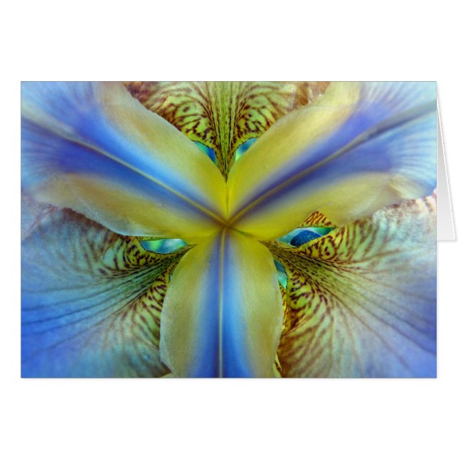 Innen von Iris (Vorderseite (Horizontal))