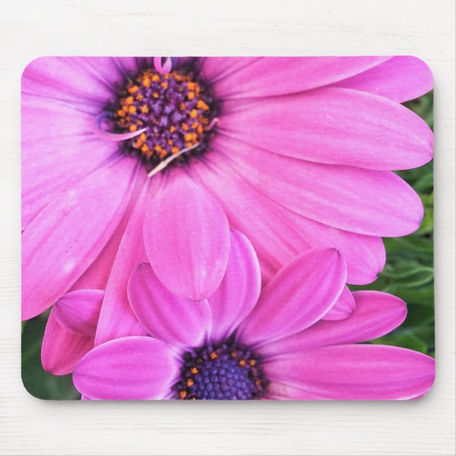 Innen von Pink Lila Gerbera Daisy Blume Natur Mousepad (Vorne)