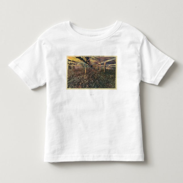 Innenansicht des JR. Simplot, das Co entwässert Kleinkind T-shirt (Vorderseite)