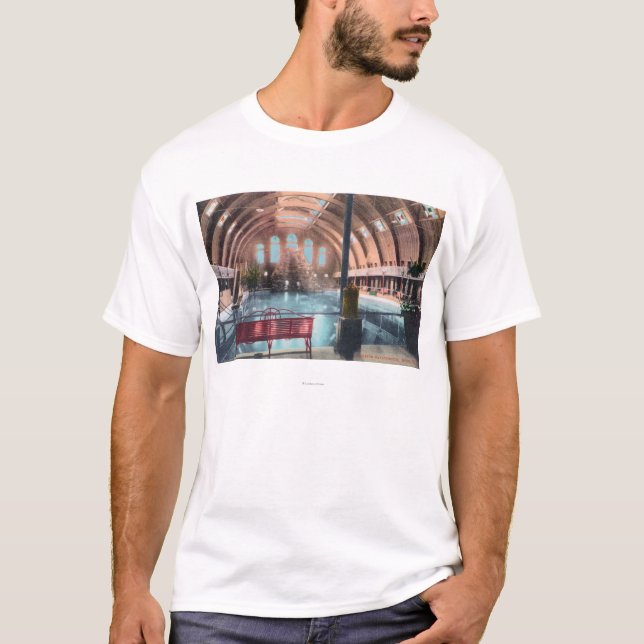 Innenansicht des NatatoriumBoise, Identifikation T-Shirt (Vorderseite)