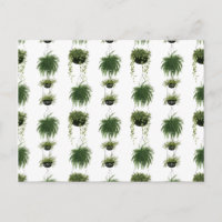 Innenoase | Aktionskörbe