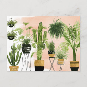 InnenPflanzen-Anordnung der oasen-  Postkarte