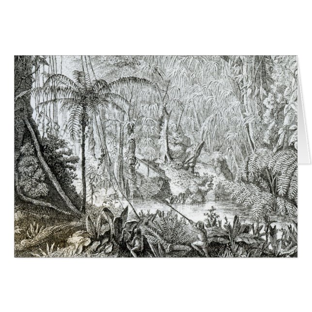 Innenraum eines Urwaldes in den Amazonas (Vorderseite (Horizontal))