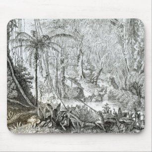 Innenraum eines Urwaldes in den Amazonas Mousepad
