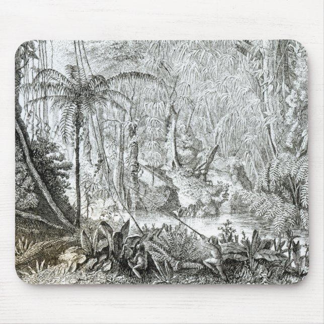 Innenraum eines Urwaldes in den Amazonas Mousepad (Vorne)