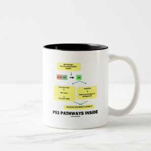 Innere der Bahn-P53 (Zellen-Molekularbiologie) Zweifarbige Tasse