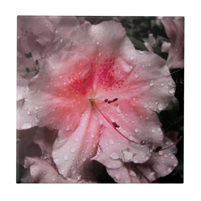 Innere Glow Decoration Tile Fliese (Vorderseite)