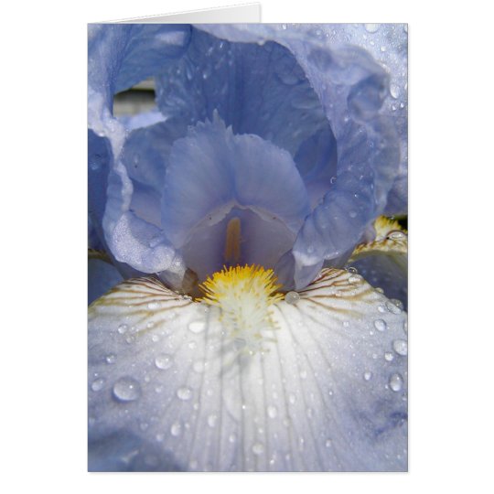 Innere Iris Karte