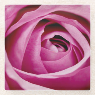 Innere Petalen der Rose Bud Glasuntersetzer