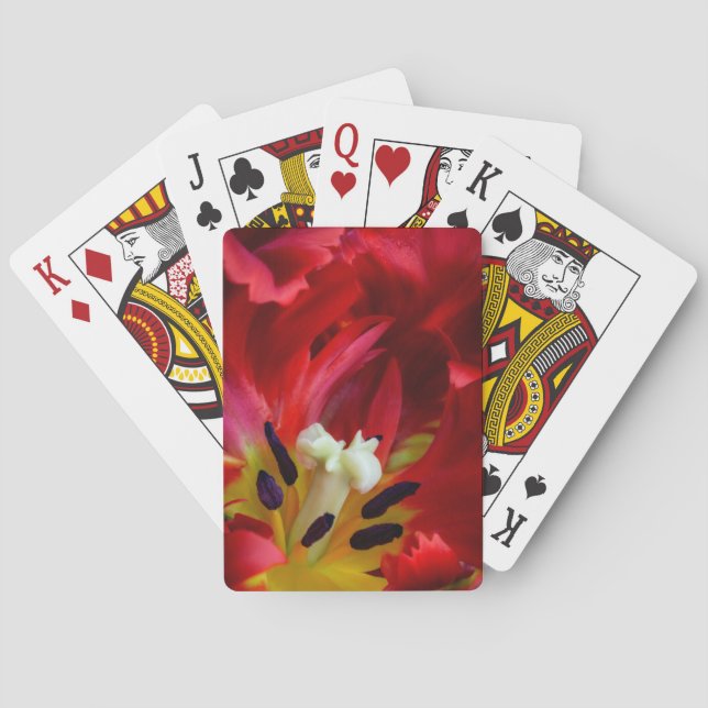 Inneres der Papageientuppel-Blume Spielkarten (Rückseite)