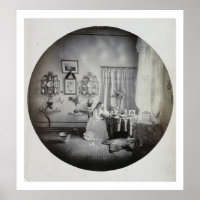 Inneres von Muckross House, c.1865 (Albumen-Druck)