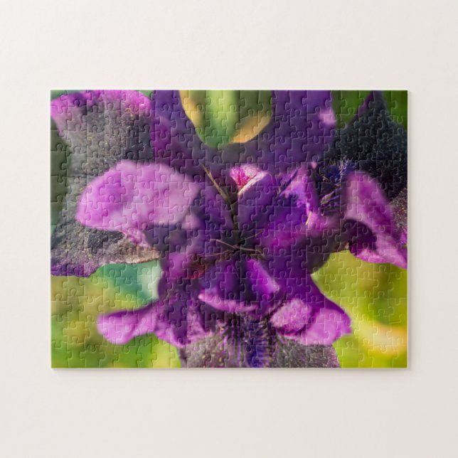 Innerhalb einer Iris (Horizontal)