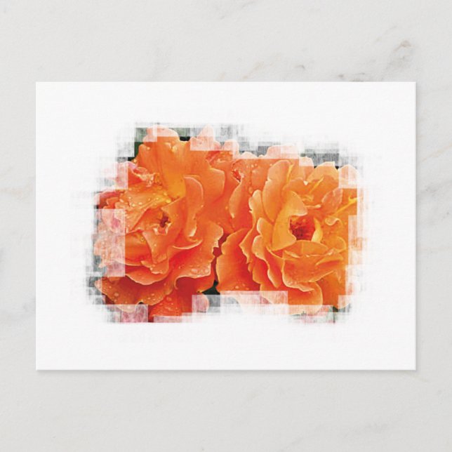 Innocent Orange Postkarte (Vorderseite)