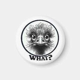 "Innocent Ostrich" What Magnet