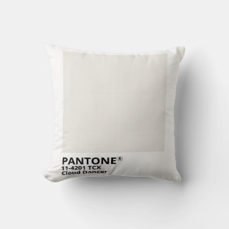 Inpiration pantone 2026 kissen