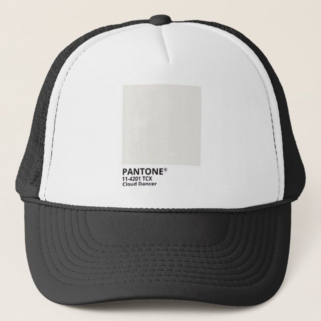 Inpiration pantone 2026 truckerkappe (Vorderseite)