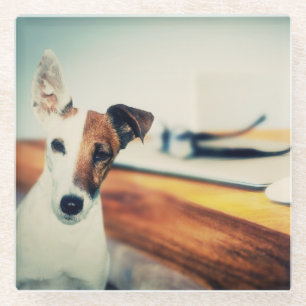 Inquisitiver Hund - Untersetzer aus Glas