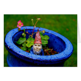 Inquisitives Gnome