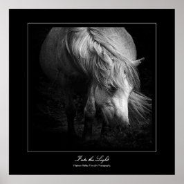 ins Licht - Dartmoor Pony Poster
