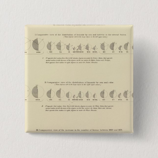 Insane, Statistischer US-Lithograph 1870 Button (Vorderseite)