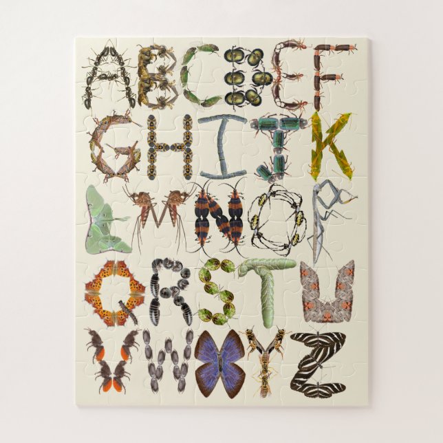 Insect Alphabet - Alphabet Bugs (Vertikal)