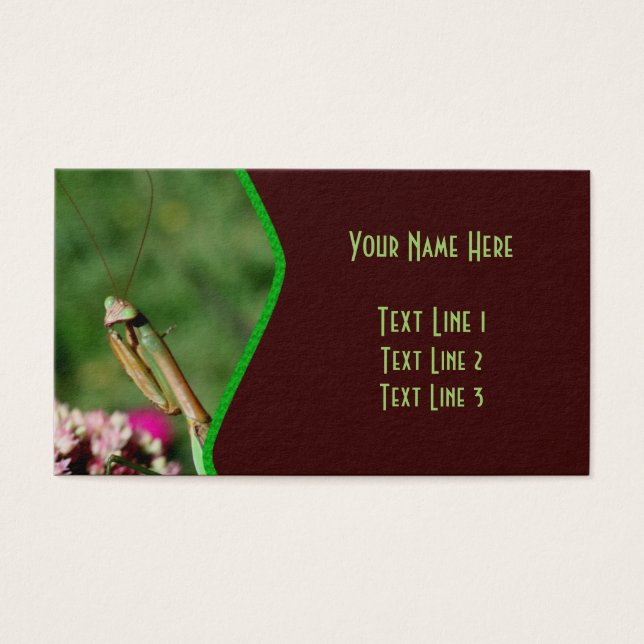 Insect Nature (Devant)