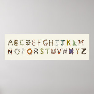 Insecte ou alphabet de bogues de décoration