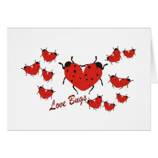 Insectes d'amour