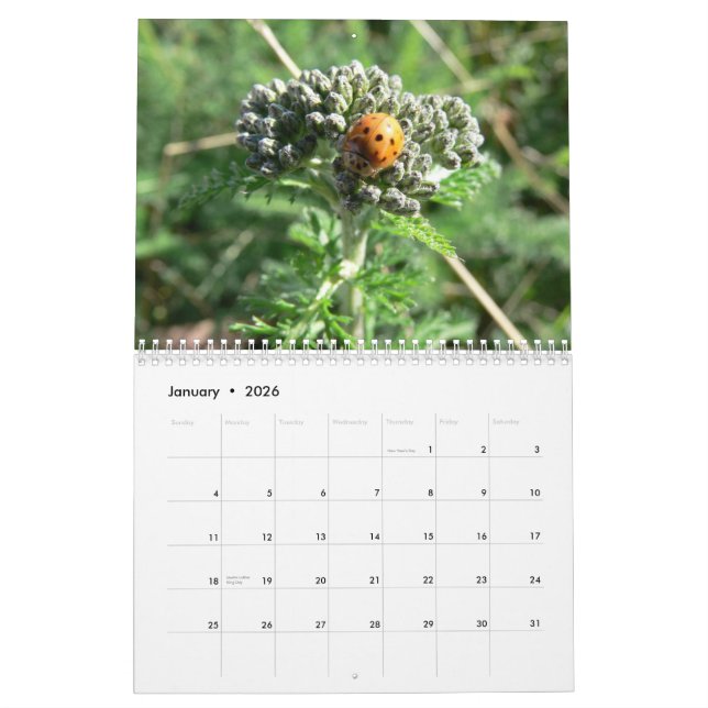Insectes et calendrier des fleurs 2011 (Jan 2026)