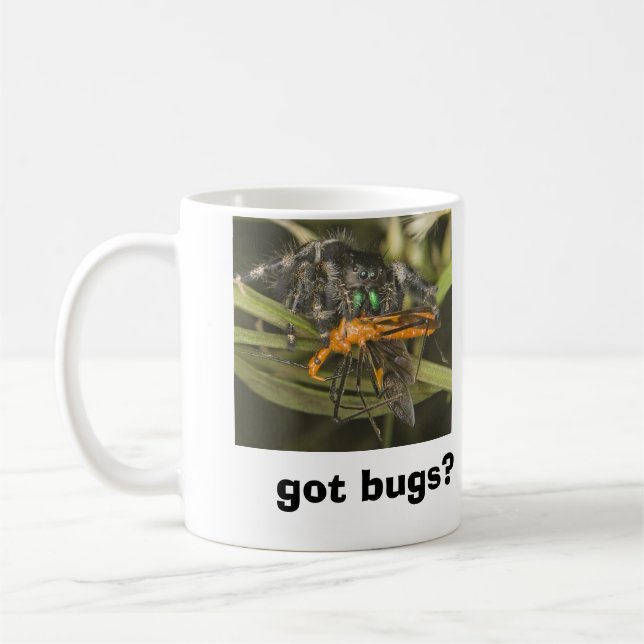 insectes obtenus ? tasse L (Gauche)