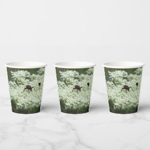 Insekt auf Elderflower Pappbecher