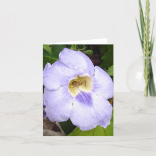 Insekt in Residence floral card v2 Karte