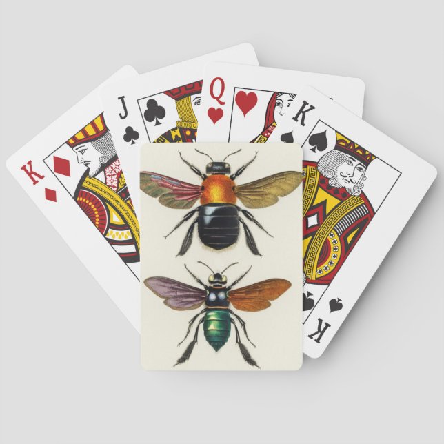 Insekt Vintag illustriert Spielkarten (Rückseite)