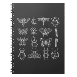 Insekten Funny Entomologist Bug Catcher Entomology Notizblock