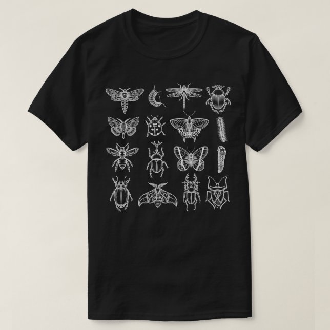 Insekten Funny Entomologist Bug Catcher Entomology T-Shirt (Design vorne)