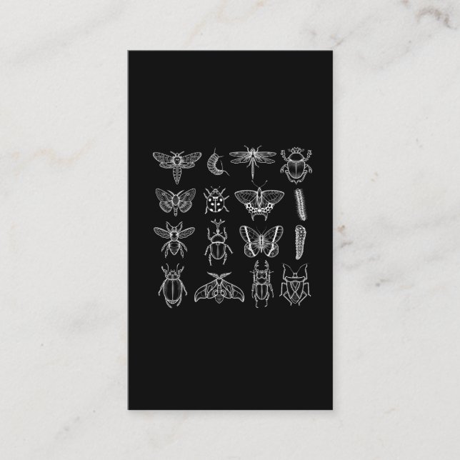 Insekten Funny Entomologist Bug Catcher Entomology Visitenkarte (Vorderseite)