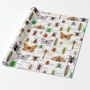 Insekten Geschenkpapier